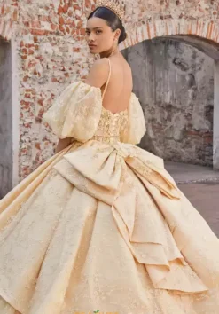Plus Sized Quince Dresses|Sweet Sixteen^Vizcaya Quinceanera 89537
