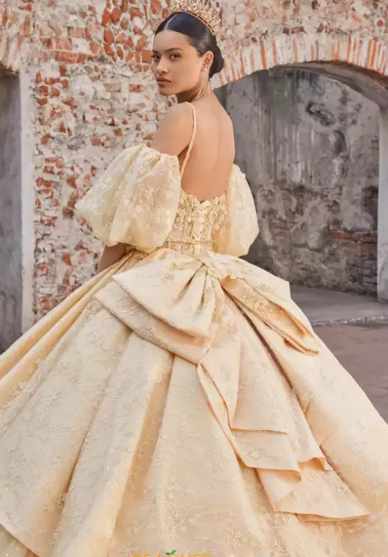 Plus Sized Quince Dresses|Sweet Sixteen^Vizcaya Quinceanera 89537