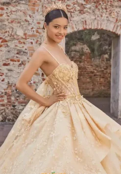 Plus Sized Quince Dresses|Sweet Sixteen^Vizcaya Quinceanera 89537