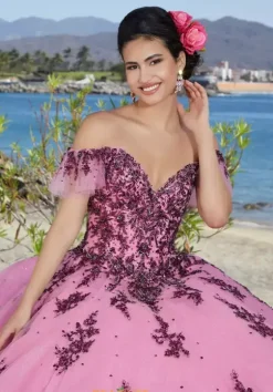 Plus Sized Quince Dresses|Sweet Sixteen^Vizcaya Quinceanera 89365