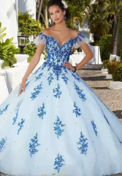 Plus Sized Quince Dresses|Sweet Sixteen^Vizcaya Quinceanera 89365