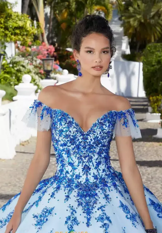 Plus Sized Quince Dresses|Sweet Sixteen^Vizcaya Quinceanera 89365