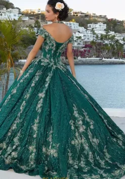 Plus Sized Quince Dresses|Sweet Sixteen^Vizcaya Quinceanera 89351