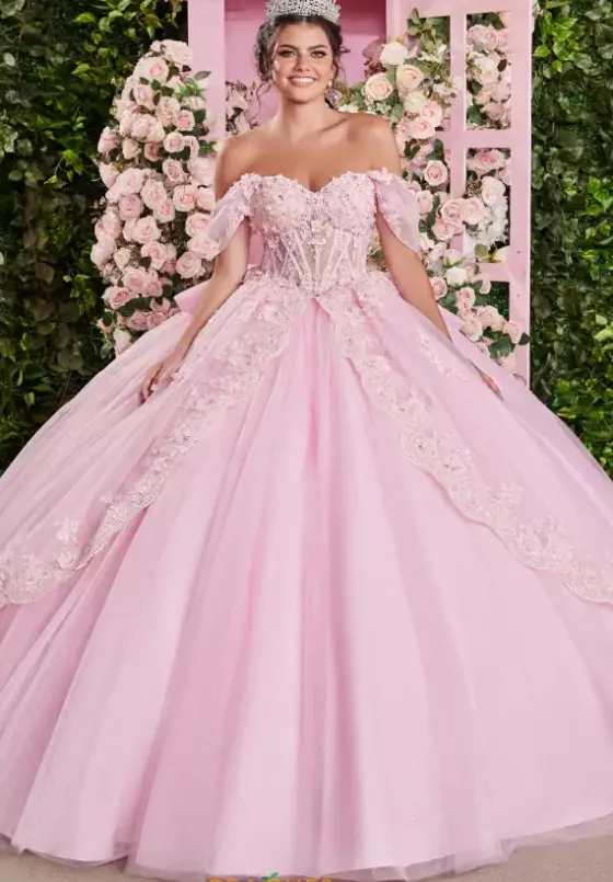 Sweet Sixteen|Plus Sized Quince Dresses^Vizcaya Quinceanera 89509