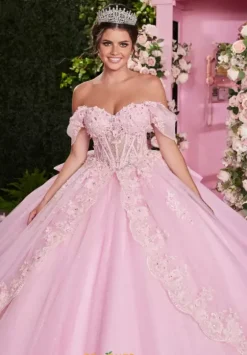 Sweet Sixteen|Plus Sized Quince Dresses^Vizcaya Quinceanera 89509
