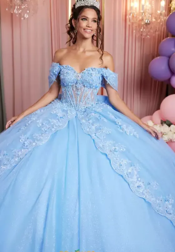 Sweet Sixteen|Plus Sized Quince Dresses^Vizcaya Quinceanera 89509