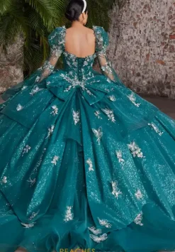 Quince Dresses With Sleeves|Plus Sized Quince Dresses^Vizcaya Quinceanera 89548