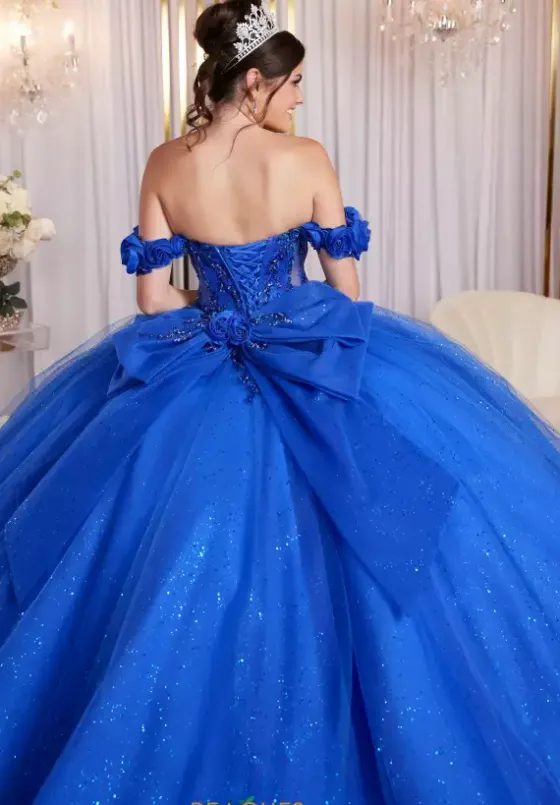 Plus Sized Quince Dresses|Sweet Sixteen^Vizcaya Quinceanera 89523