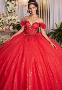 Plus Sized Quince Dresses|Sweet Sixteen^Vizcaya Quinceanera 89523