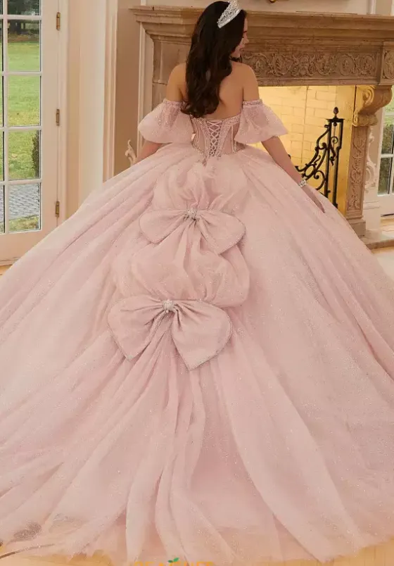 Sweet Sixteen|Plus Sized Quince Dresses^Vizcaya Quinceanera 89479