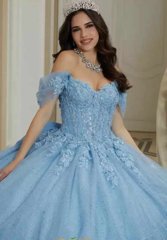 Sweet Sixteen|Plus Sized Quince Dresses^Vizcaya Quinceanera 89483
