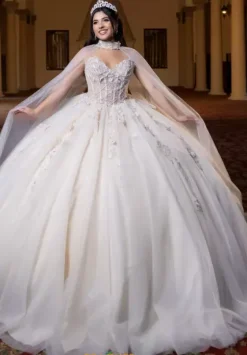 Plus Sized Quince Dresses^Vizcaya Quinceanera 4080023