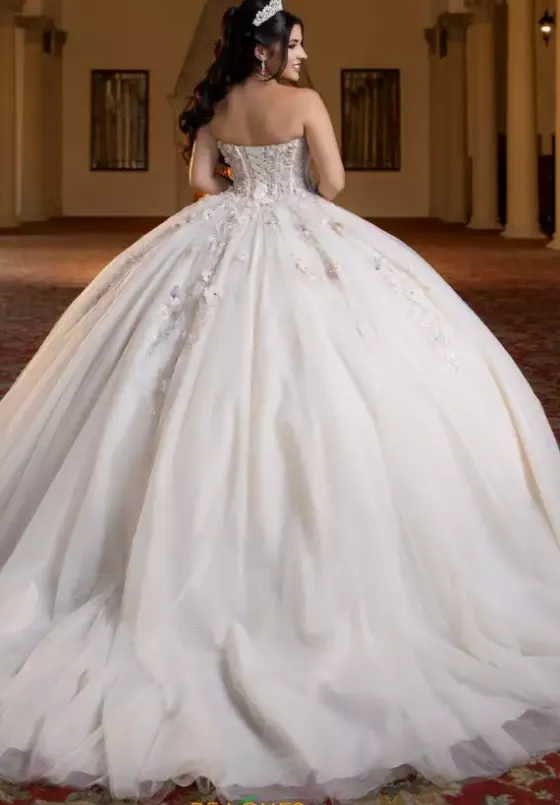 Plus Sized Quince Dresses^Vizcaya Quinceanera 4080023