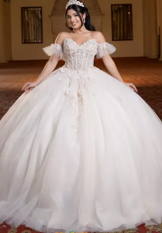 Plus Sized Quince Dresses^Vizcaya Quinceanera 4080023