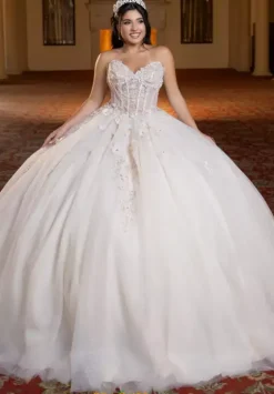 Plus Sized Quince Dresses^Vizcaya Quinceanera 4080023