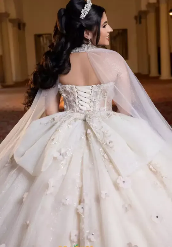 Plus Sized Quince Dresses^Vizcaya Quinceanera 4080023