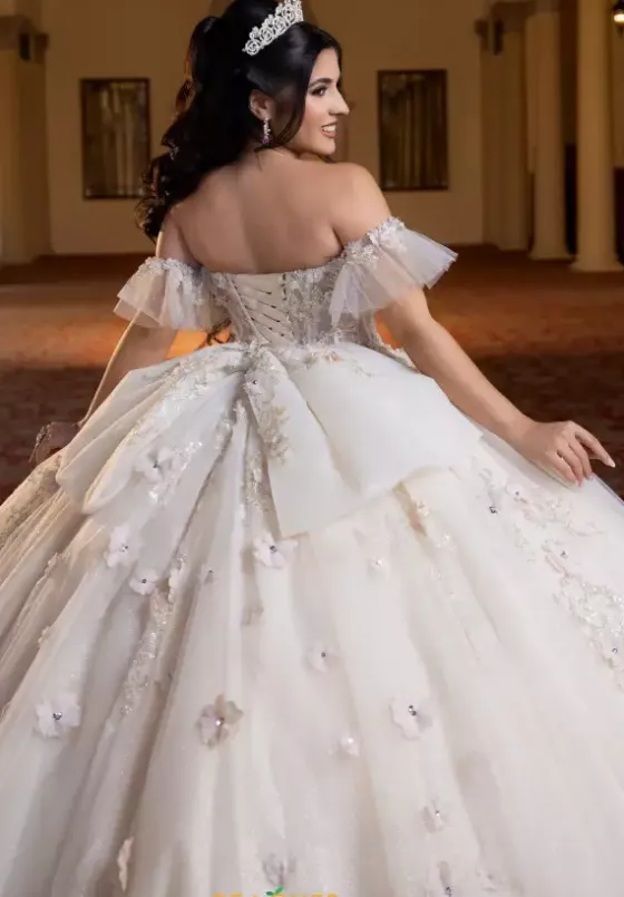 Plus Sized Quince Dresses^Vizcaya Quinceanera 4080023