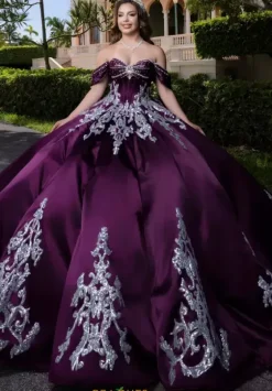 Plus Sized Quince Dresses|Sweet Sixteen^Vizcaya Quinceanera 4080009