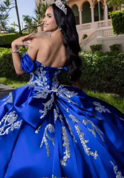 Plus Sized Quince Dresses|Sweet Sixteen^Vizcaya Quinceanera 4080009
