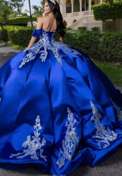Plus Sized Quince Dresses|Sweet Sixteen^Vizcaya Quinceanera 4080009