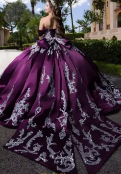 Plus Sized Quince Dresses|Sweet Sixteen^Vizcaya Quinceanera 4080009