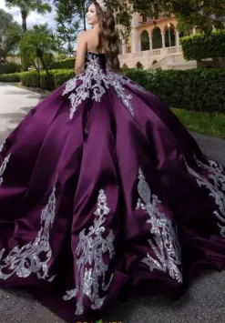 Plus Sized Quince Dresses|Sweet Sixteen^Vizcaya Quinceanera 4080009
