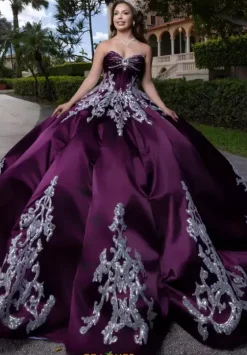 Plus Sized Quince Dresses|Sweet Sixteen^Vizcaya Quinceanera 4080009