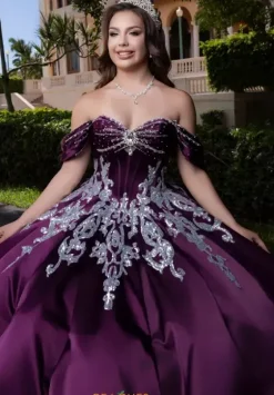 Plus Sized Quince Dresses|Sweet Sixteen^Vizcaya Quinceanera 4080009