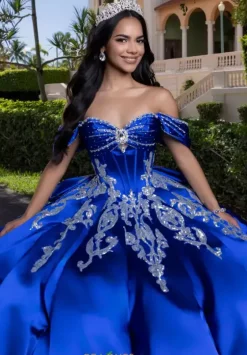 Plus Sized Quince Dresses|Sweet Sixteen^Vizcaya Quinceanera 4080009