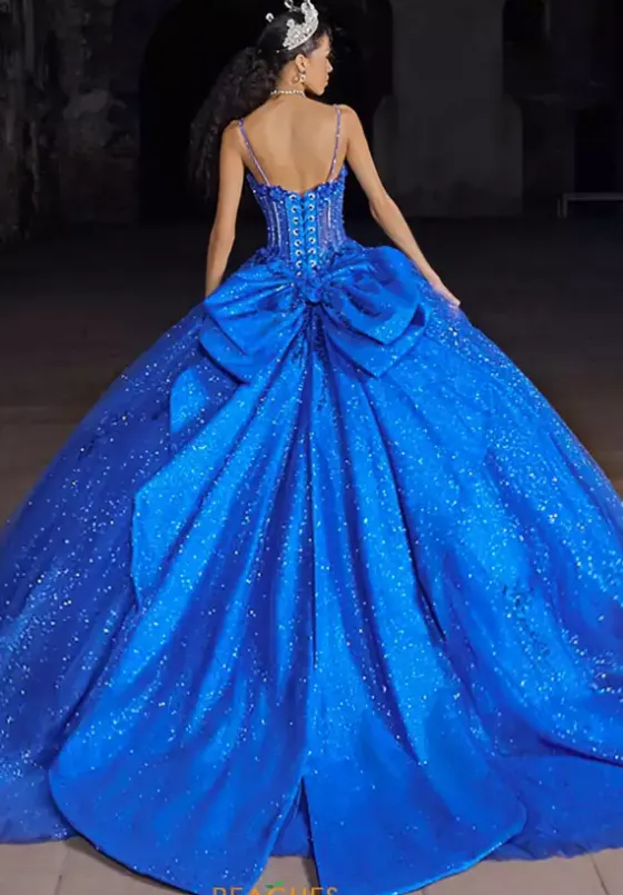 Sweet Sixteen|Plus Sized Quince Dresses^Vizcaya Quinceanera 89553