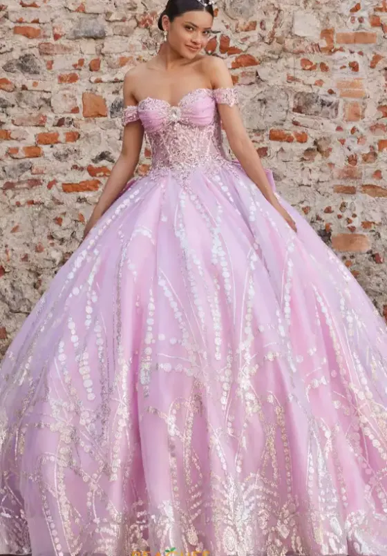 Sweet Sixteen|Plus Sized Quince Dresses^Vizcaya Quinceanera 89557