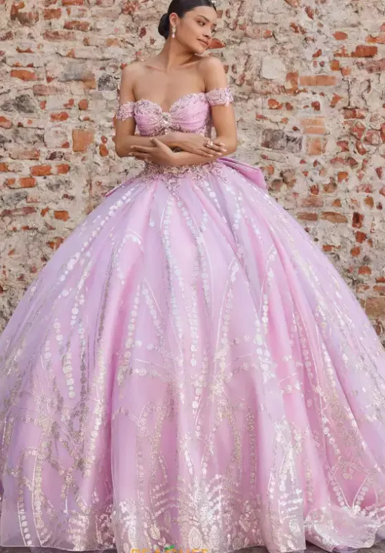 Sweet Sixteen|Plus Sized Quince Dresses^Vizcaya Quinceanera 89557