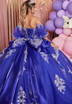 Plus Sized Quince Dresses|Sweet Sixteen^Vizcaya Quinceanera 89526