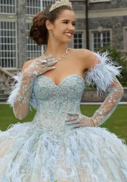 Quince Dresses With Sleeves|Plus Sized Quince Dresses^Vizcaya Quinceanera 34082 Iced Champagne