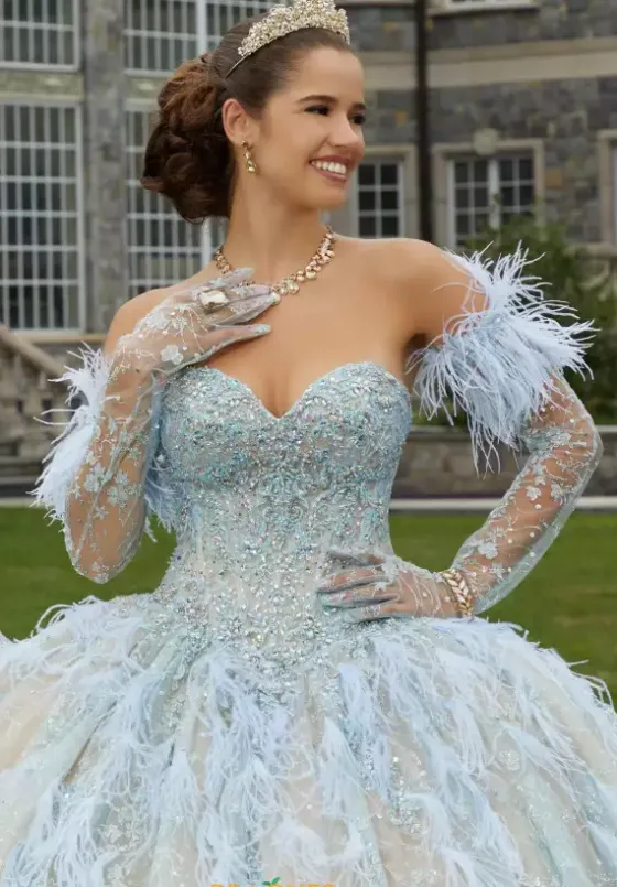 Quince Dresses With Sleeves|Plus Sized Quince Dresses^Vizcaya Quinceanera 34082 Iced Champagne