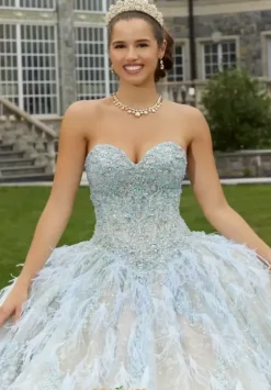 Quince Dresses With Sleeves|Plus Sized Quince Dresses^Vizcaya Quinceanera 34082 Iced Champagne