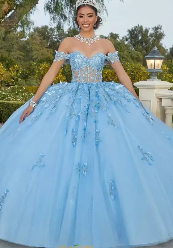 Sweet Sixteen|Plus Sized Quince Dresses^Vizcaya Quinceanera 60181