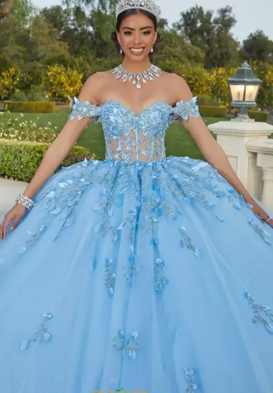 Sweet Sixteen|Plus Sized Quince Dresses^Vizcaya Quinceanera 60181
