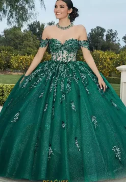 Sweet Sixteen|Plus Sized Quince Dresses^Vizcaya Quinceanera 60181