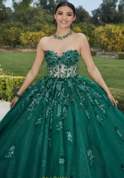 Sweet Sixteen|Plus Sized Quince Dresses^Vizcaya Quinceanera 60181