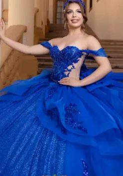 Plus Sized Quince Dresses|Sweet Sixteen^Vizcaya Quinceanera 4080000