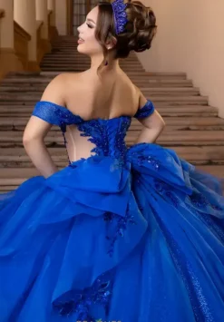 Plus Sized Quince Dresses|Sweet Sixteen^Vizcaya Quinceanera 4080000