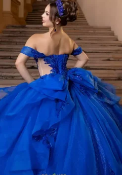 Plus Sized Quince Dresses|Sweet Sixteen^Vizcaya Quinceanera 4080000