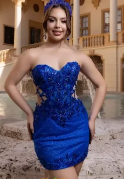 Plus Sized Quince Dresses|Sweet Sixteen^Vizcaya Quinceanera 4080000