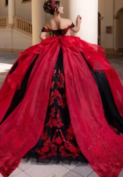 Plus Sized Quince Dresses|Sweet Sixteen^Vizcaya Quinceanera 4080000