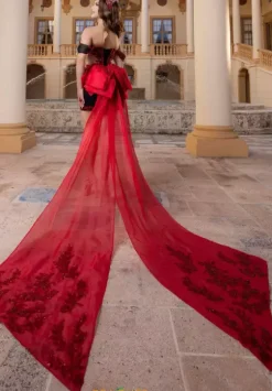 Plus Sized Quince Dresses|Sweet Sixteen^Vizcaya Quinceanera 4080000