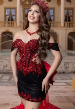 Plus Sized Quince Dresses|Sweet Sixteen^Vizcaya Quinceanera 4080000