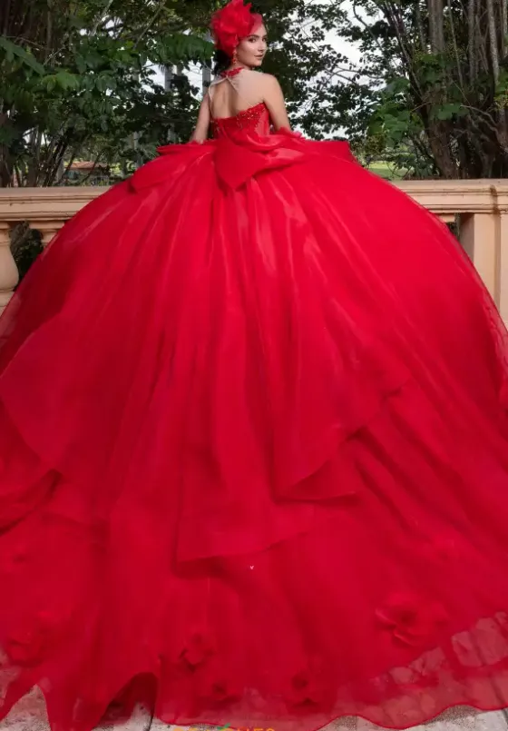 Plus Sized Quince Dresses|Sweet Sixteen^Vizcaya Quinceanera 4080012