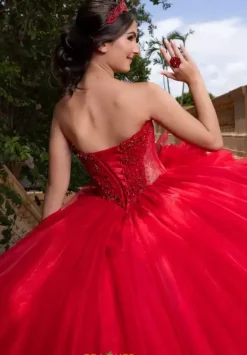 Plus Sized Quince Dresses|Sweet Sixteen^Vizcaya Quinceanera 4080012