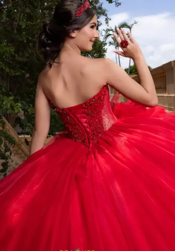 Plus Sized Quince Dresses|Sweet Sixteen^Vizcaya Quinceanera 4080012